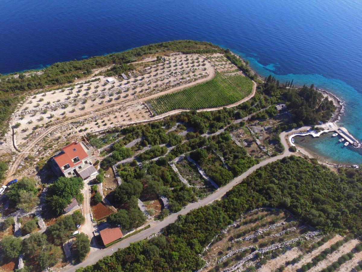 Deluxe Apartman “ Koromacna” Kneza Esterno foto